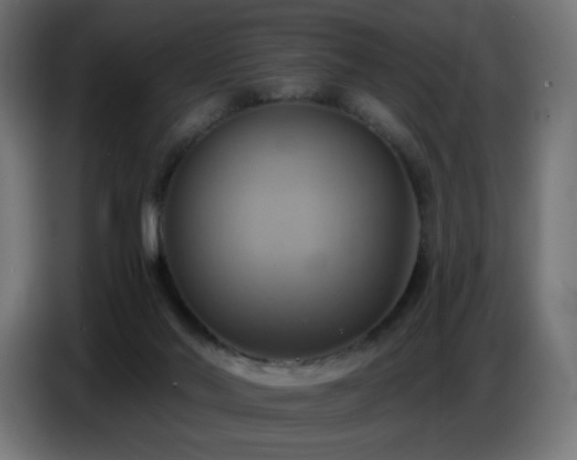 X0000086750022200704131201