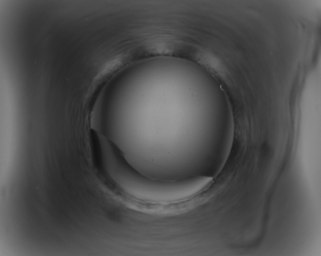 X0000086750023200704131201