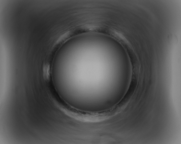 X0000086750024200704131201