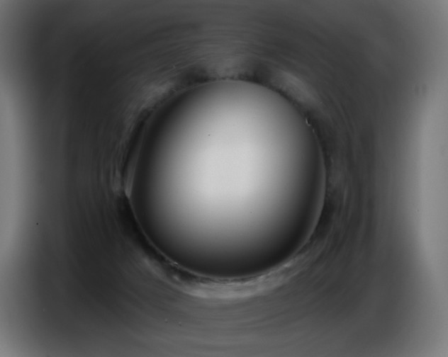 X0000086750025200704131201