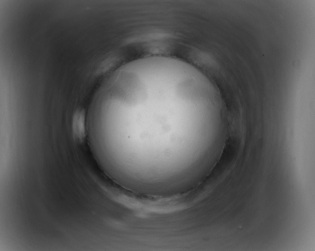 X0000086750028200704131201