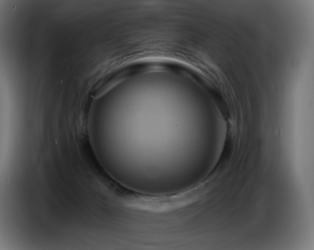 X0000086750029200704131201