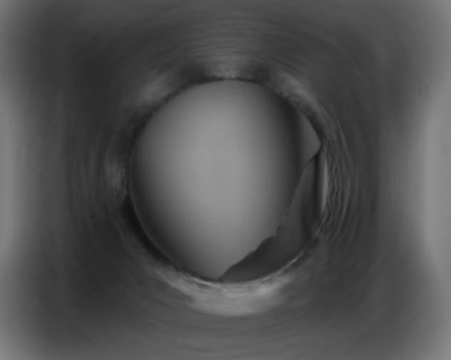 X0000086750031200704131201