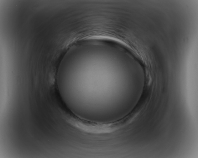 X0000086750032200704131201