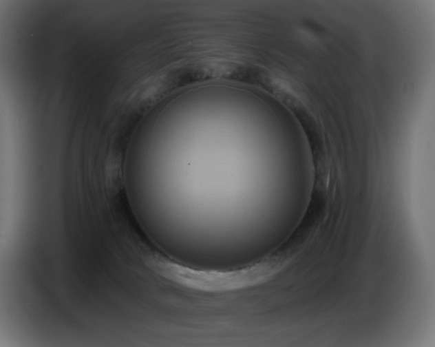 X0000086750034200704131201