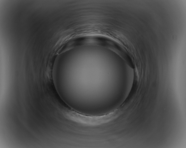 X0000086750035200704131201