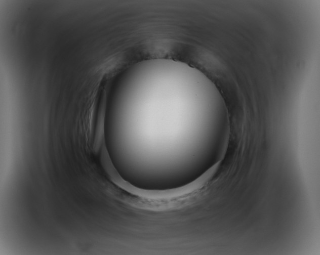 X0000086750037200704131201