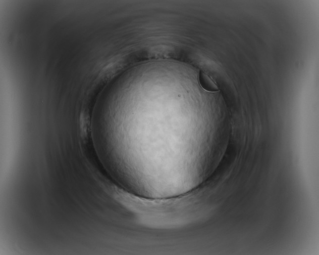 X0000086750038200704131201