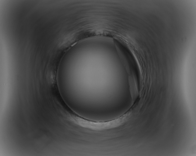 X0000086750039200704131201