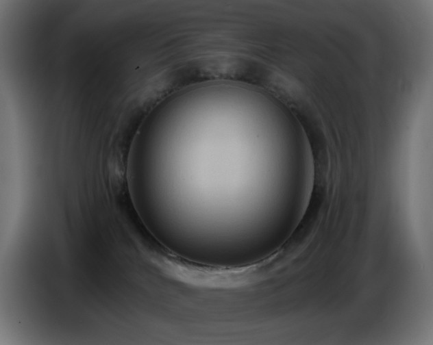 X0000086750040200704131201