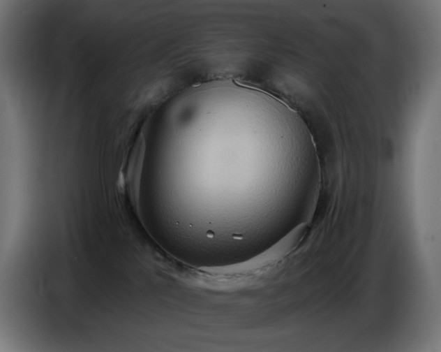 X0000086750041200704131201