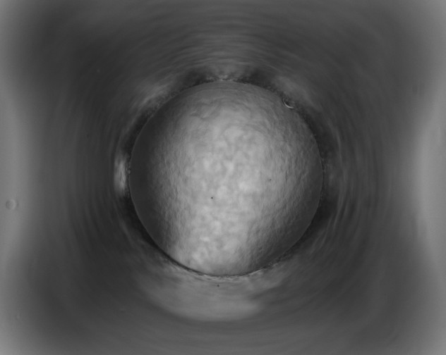 X0000086750042200704131201