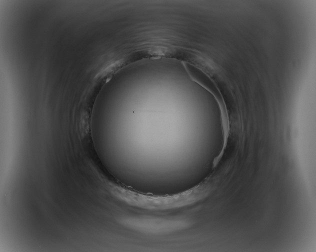 X0000086750043200704131201