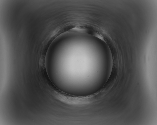 X0000086750044200704131201
