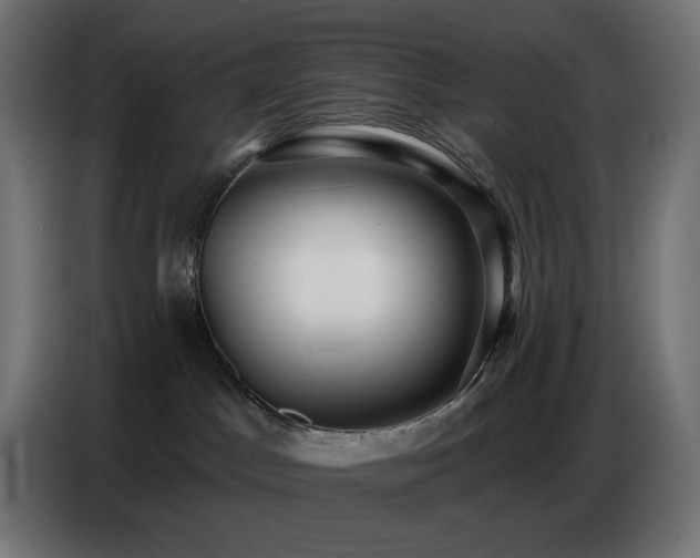 X0000086750045200704131200