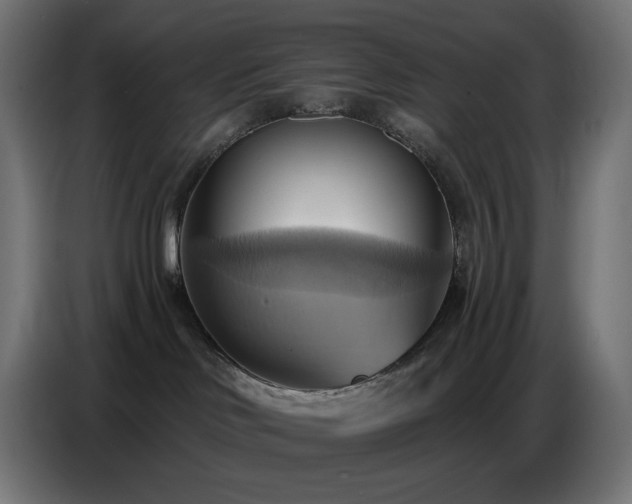 X0000086750046200704131200