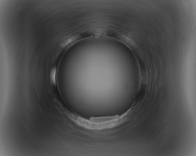 X0000086750047200704131200