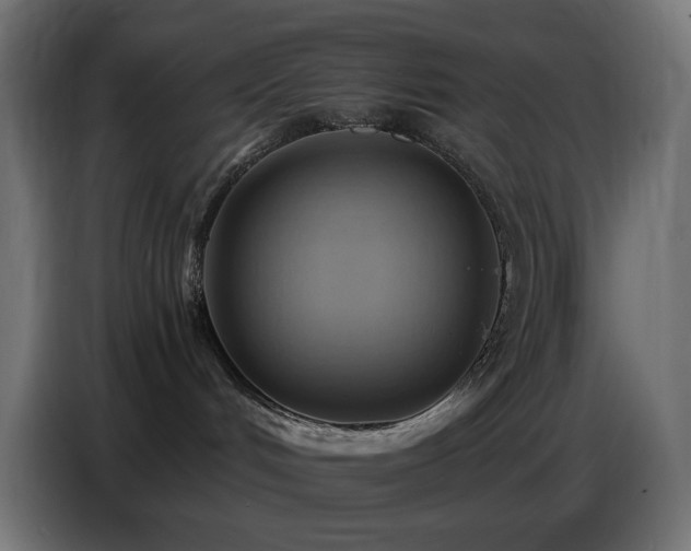 X0000086750048200704131200