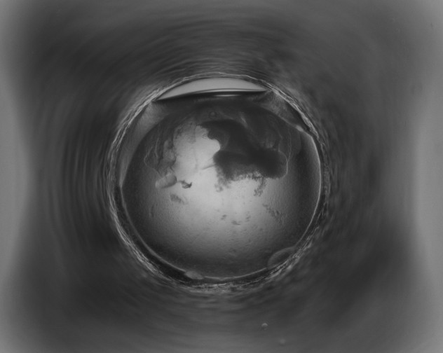 X0000086750049200704131200