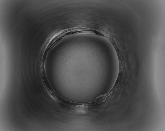 X0000086750050200704131200