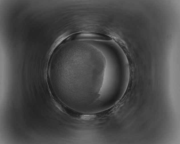 X0000086750051200704131200