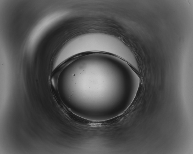 X0000086750052200704131200