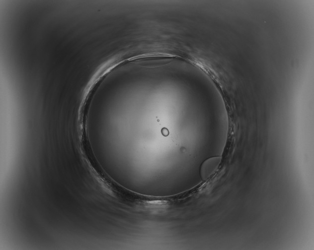 X0000086750053200704131200