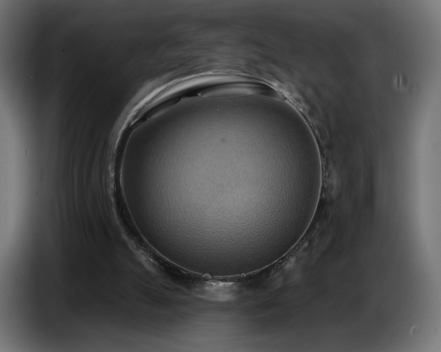 X0000086750055200704131200