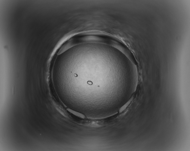 X0000086750056200704131200
