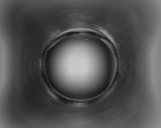 X0000086750057200704131200
