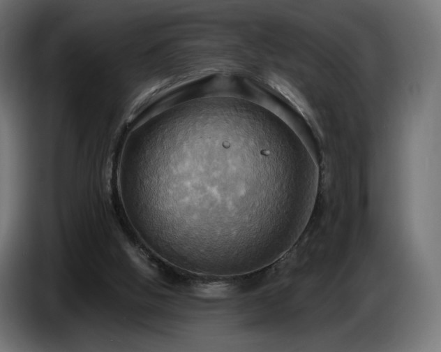 X0000086750058200704131200