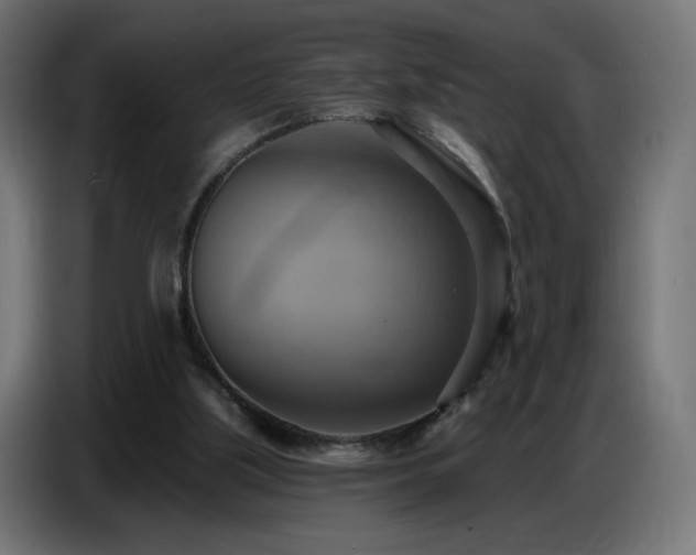 X0000086750059200704131200