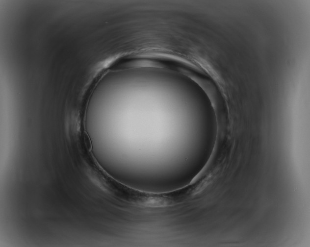 X0000086750060200704131200