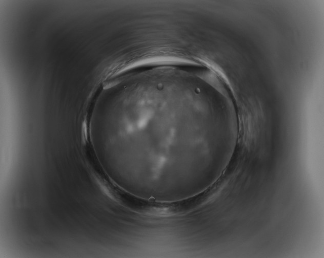 X0000086750061200704131200