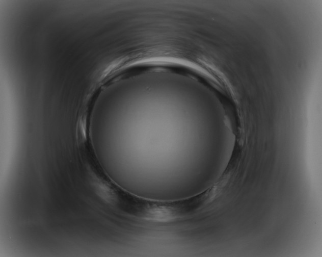 X0000086750062200704131200