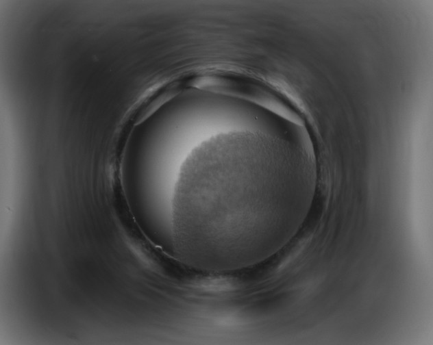 X0000086750063200704131200