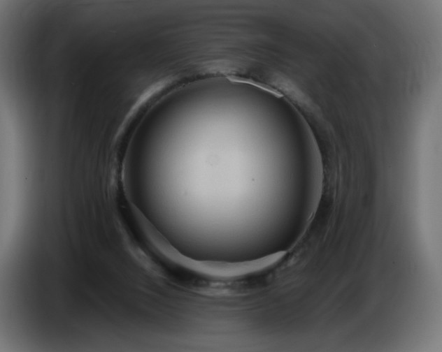 X0000086750064200704131200
