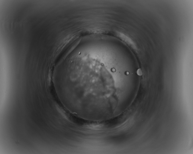 X0000086750065200704131200