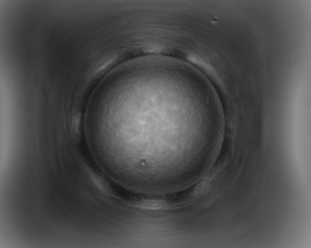 X0000086750066200704131200