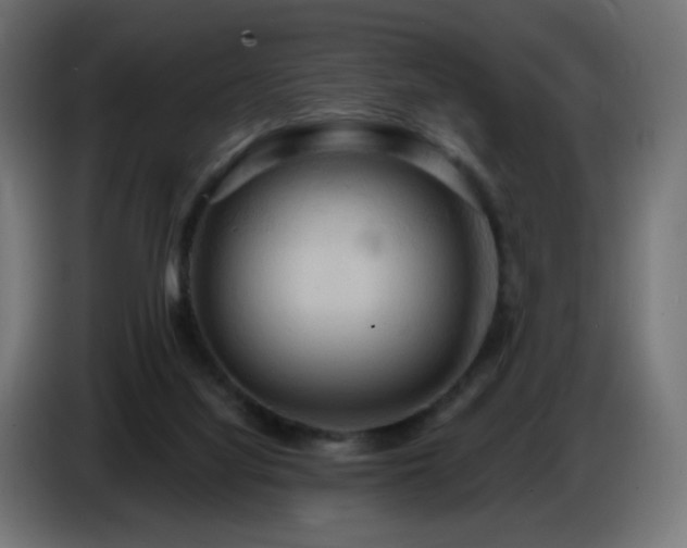 X0000086750068200704131200