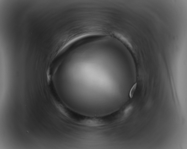 X0000086750069200704131200