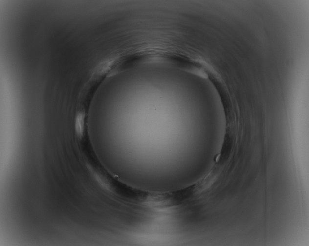 X0000086750070200704131200