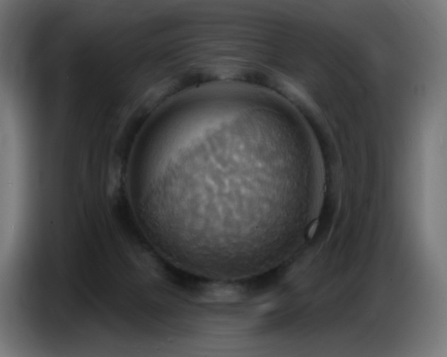 X0000086750073200704131200