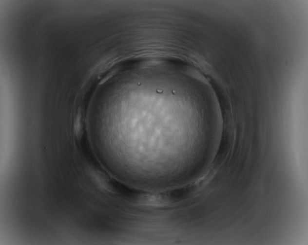 X0000086750074200704131200