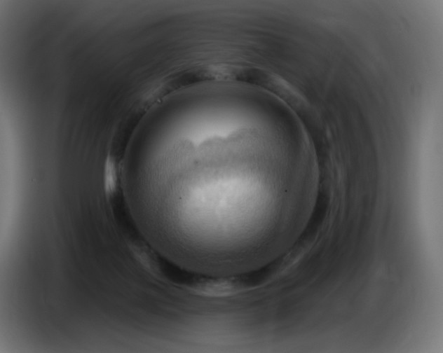 X0000086750075200704131200