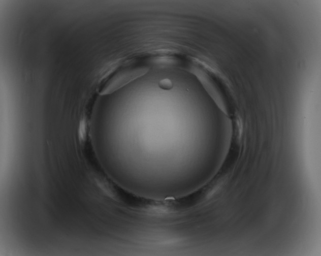 X0000086750076200704131200
