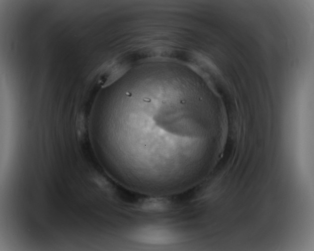 X0000086750077200704131200