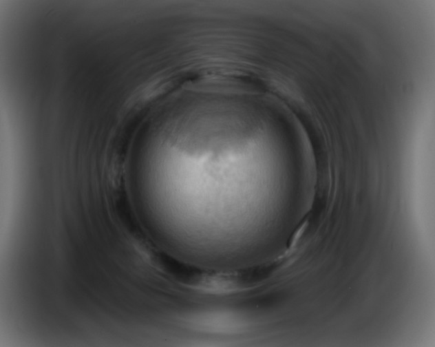 X0000086750078200704131200