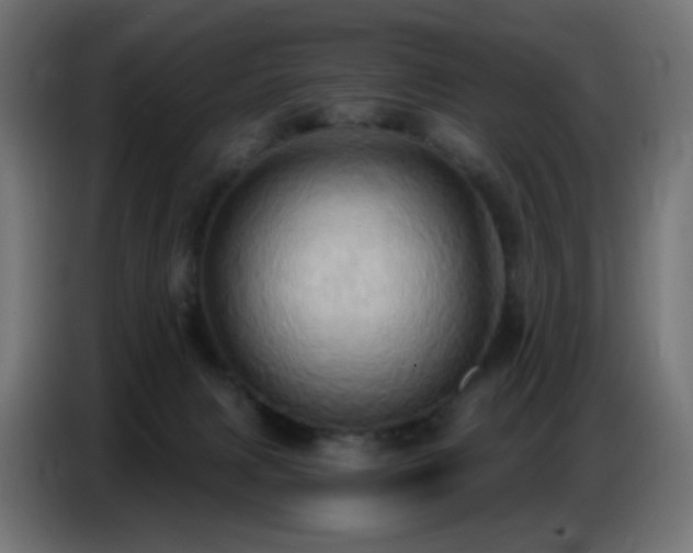 X0000086750079200704131200