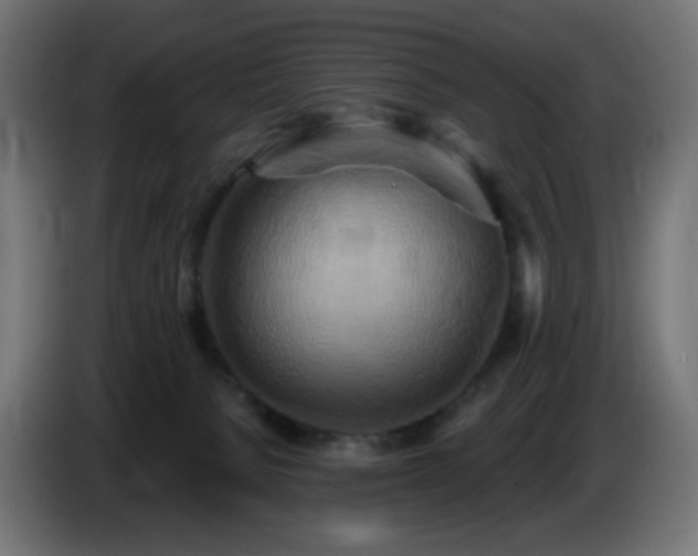 X0000086750080200704131200